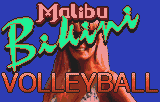 Malibu Bikini Volleyball
